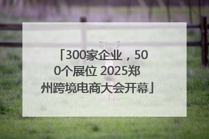 300家企业，500个展位 2025郑州跨境电商大会开幕