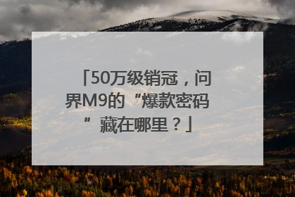 50万级销冠，问界M9的“爆款密码”藏在哪里？