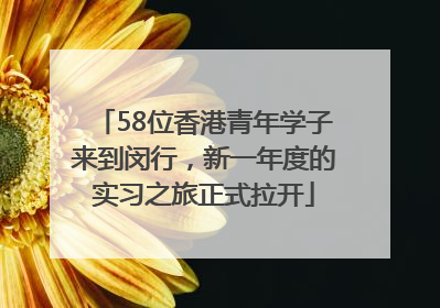 58位香港青年学子来到闵行，新一年度的实习之旅正式拉开