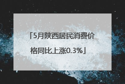 5月陕西居民消费价格同比上涨0.3%