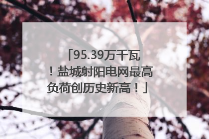 95.39万千瓦！盐城射阳电网最高负荷创历史新高！