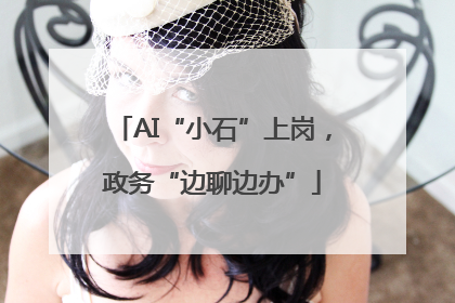 AI“小石”上岗，政务“边聊边办”