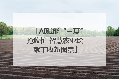 AI赋能“三夏”抢收忙 智慧农业绘就丰收新图景