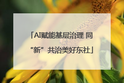 AI赋能基层治理 同“新”共治美好东社