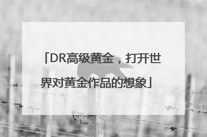 DR高级黄金，打开世界对黄金作品的想象