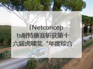 Netconcepts耐特康赛斩获第十六届虎啸奖“年度综合服务商”大奖